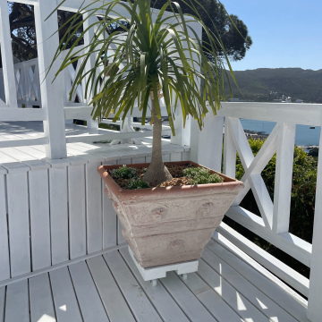 Garden Pot Wheel Trolly